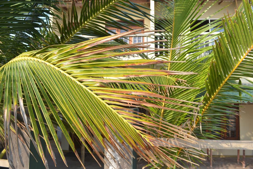 Beach Arthur Villa Galle Exterior foto